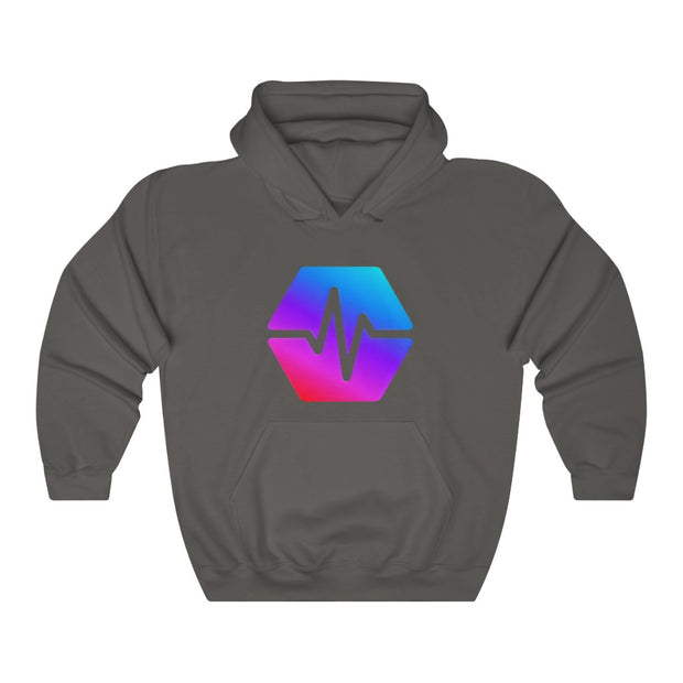 PulseChain (PLS) Unisex Heavy Blend™ Hooded Sweatshirt