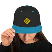 Binance USD (BUSD) Snapback Hat