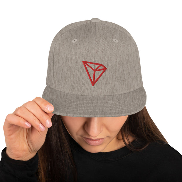 Tron (TRX) Snapback Hat