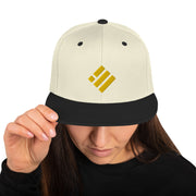 Binance USD (BUSD) Snapback Hat