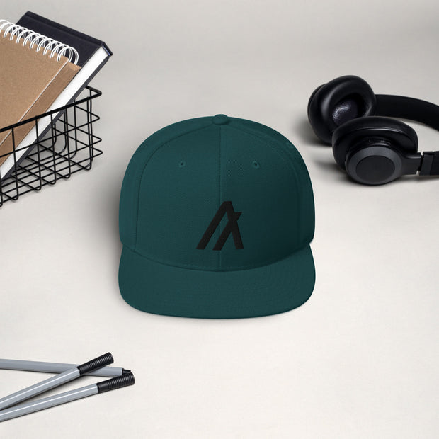 Algorand (ALGO) Snapback Hat